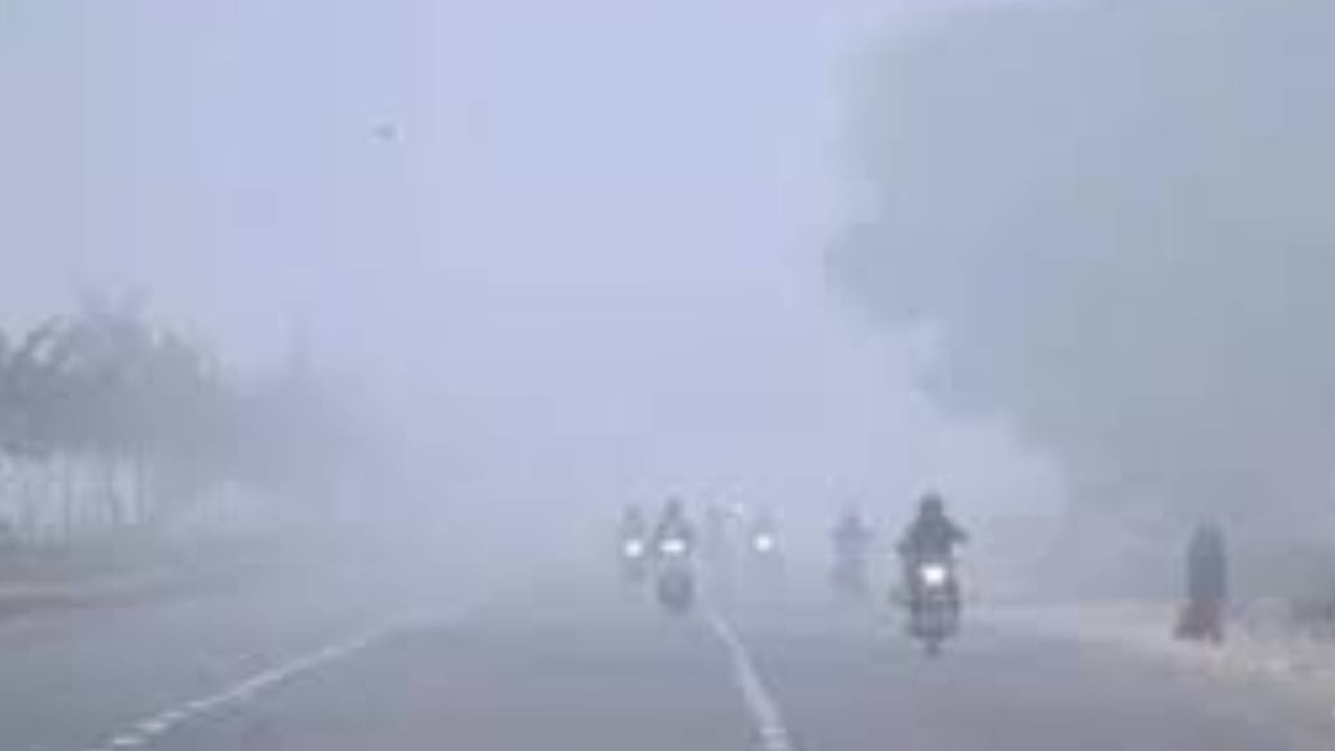 Dense Fog To Continue In Odisha For Next 2 Days; Yellow Warning Issued