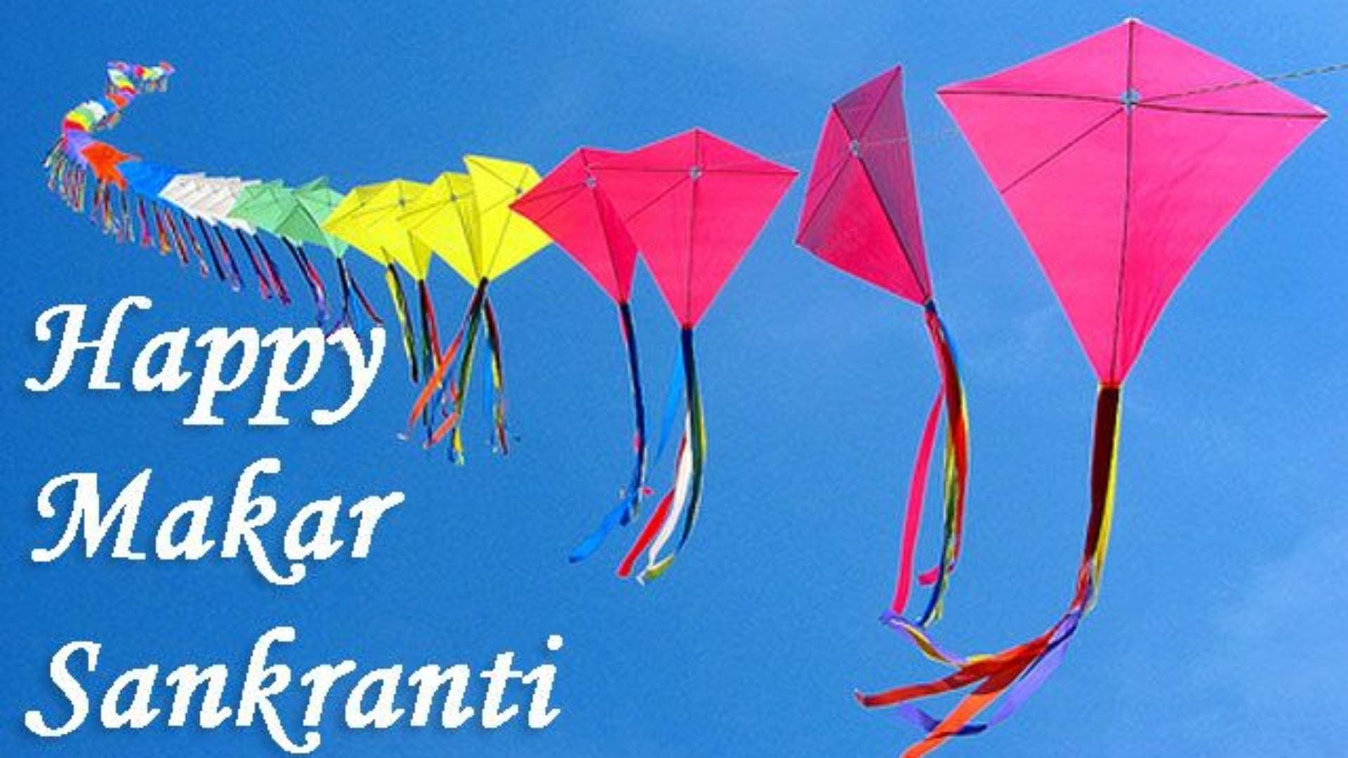 Makar Sankranti 2024: Know the Significance And Celebration Of The Festival