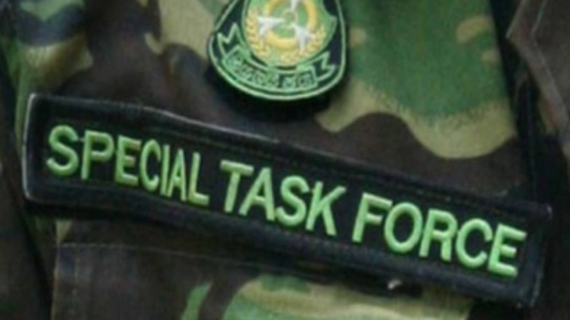 STF Rescues Live Pangolin, One Held