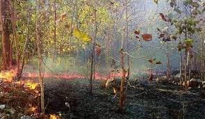 ସବୁ ଯୋଜନା ପରେ ବି ଜଳୁଛି ଶିମିଳିପାଳ