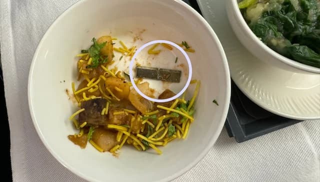 "Hiding in roasted sweet potato...": Air India passenger finds metal blade in meal