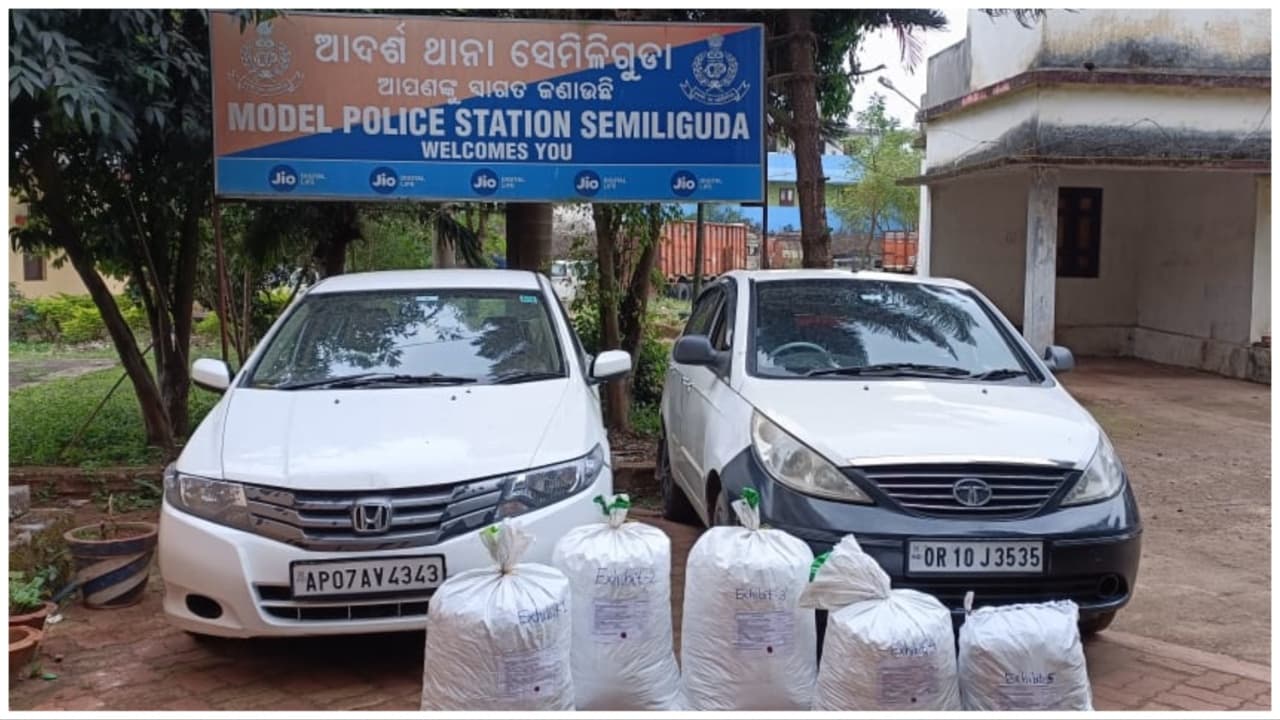 109 Kg Ganja, 2 Cars Seized In Koraput; Smugglers Escaped