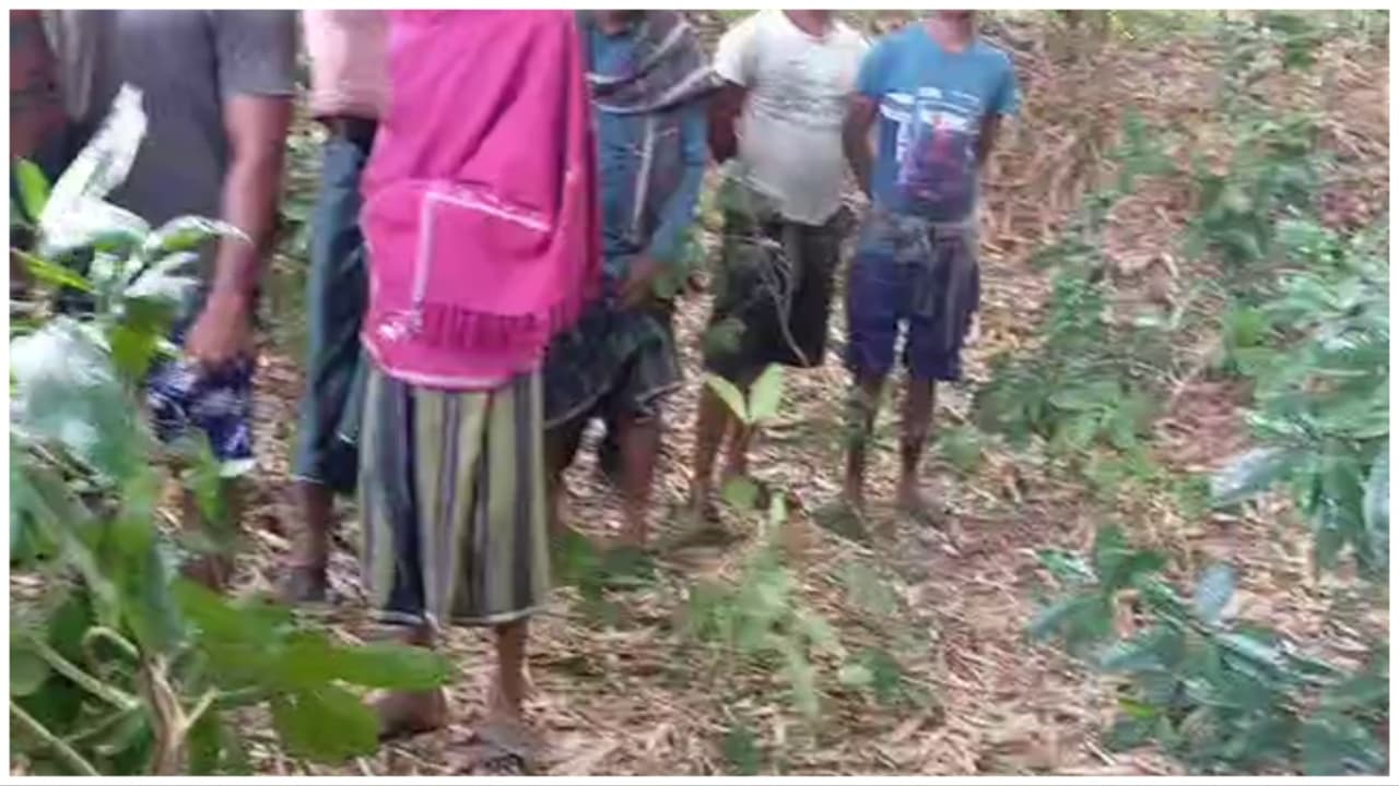 Elephant Tramples Man To Death In Cuttack