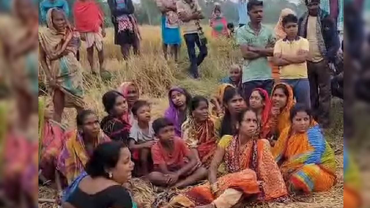 Elephant Tramples 2 Farmers To Death In Khordha Village