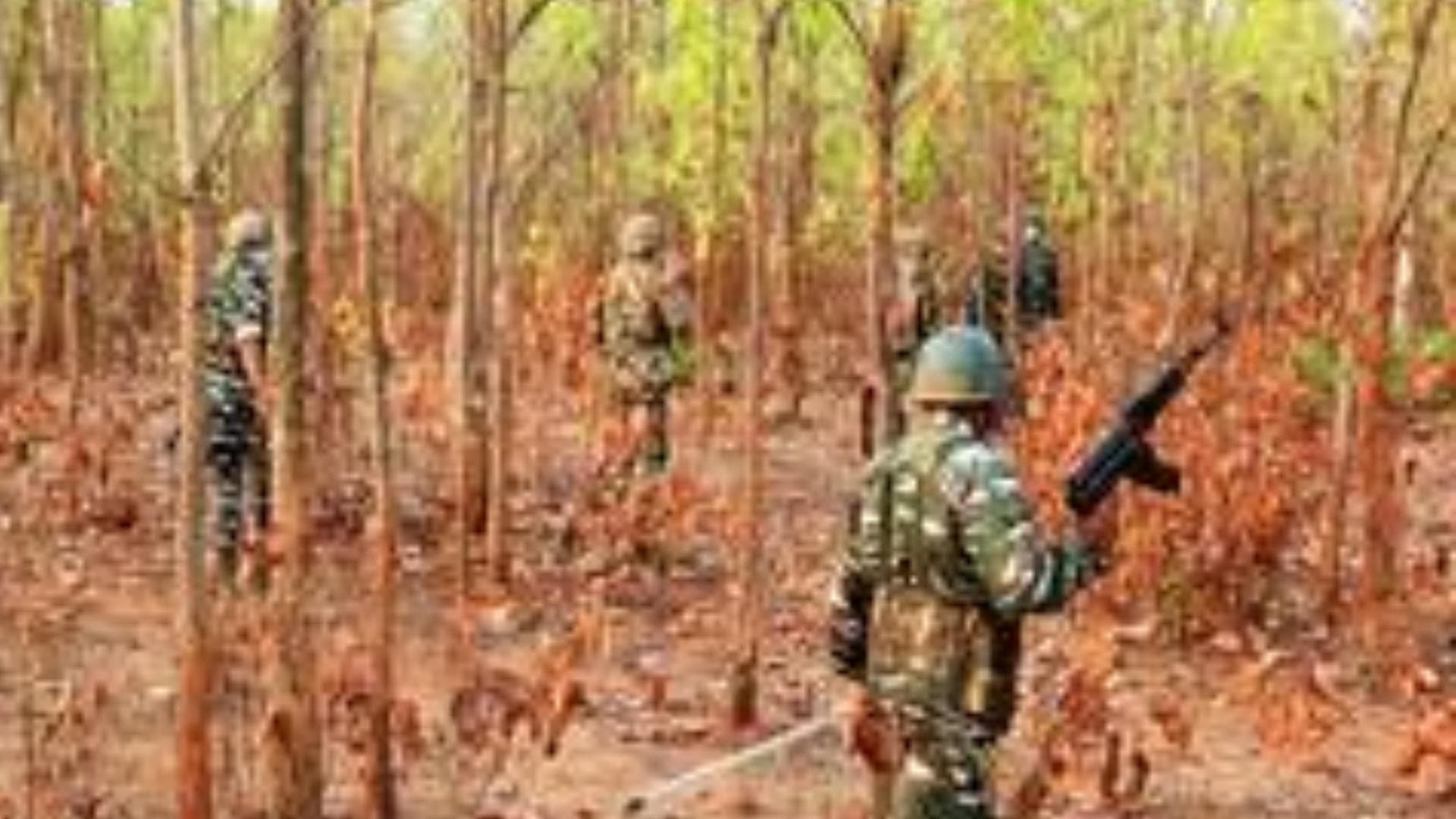 Odisha: Police seize 2 kg IEDs from Kandhamal forests