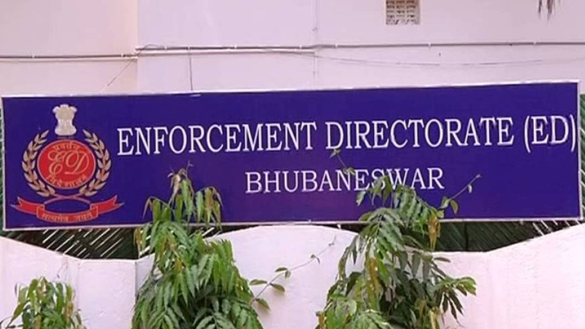 ED Seizes Ex-Forest Official's Assets Worth Rs 40 Lakh In Odisha