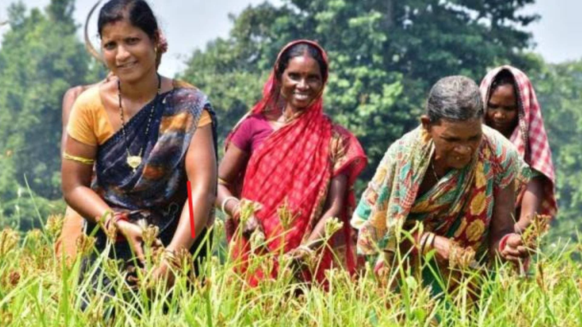 Mines-Rich Keonjhar Now Writes Success Story In Millet Production And Consumption