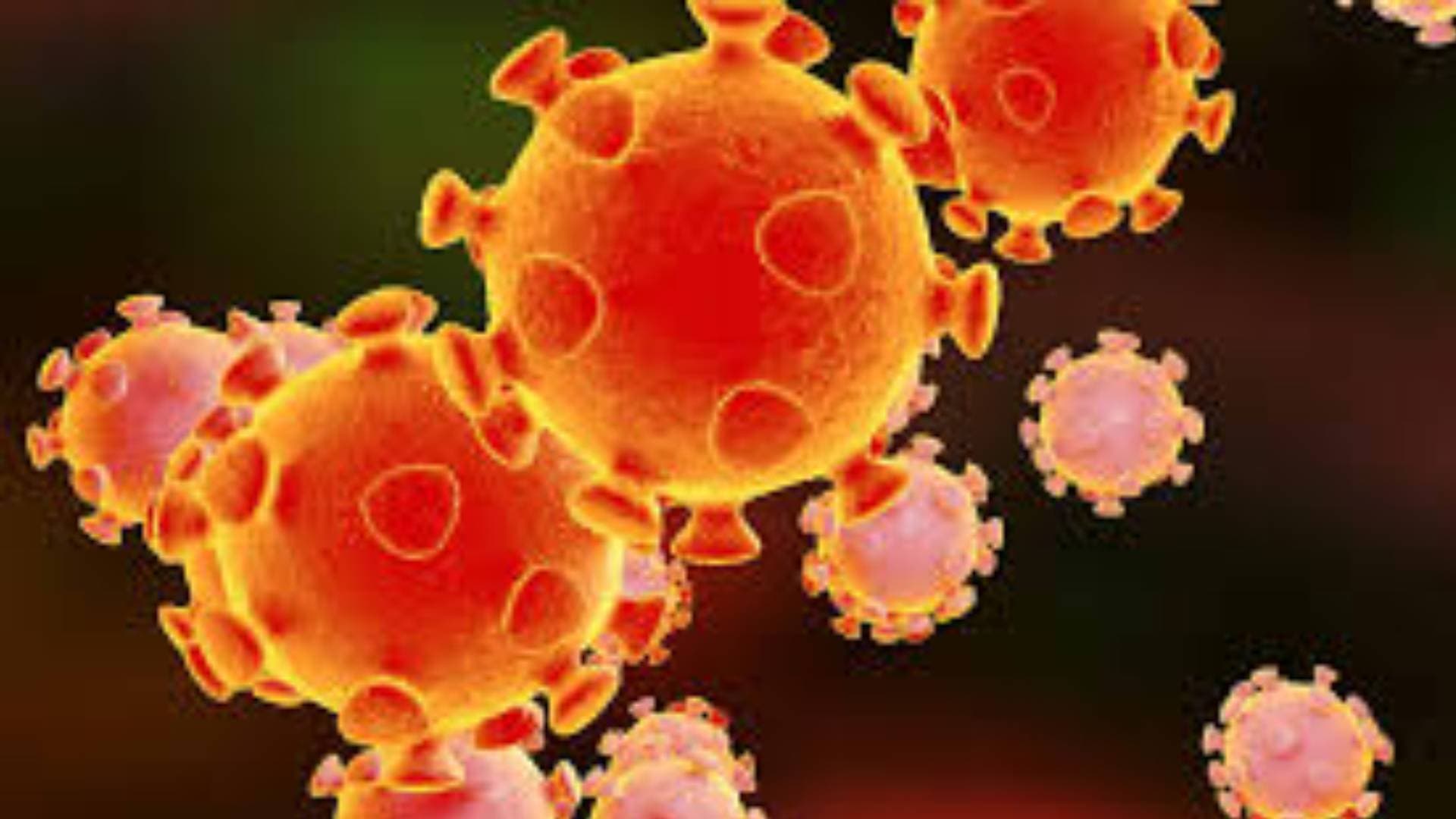 One Covid Case Detected In Odisha In Last 24 Hours