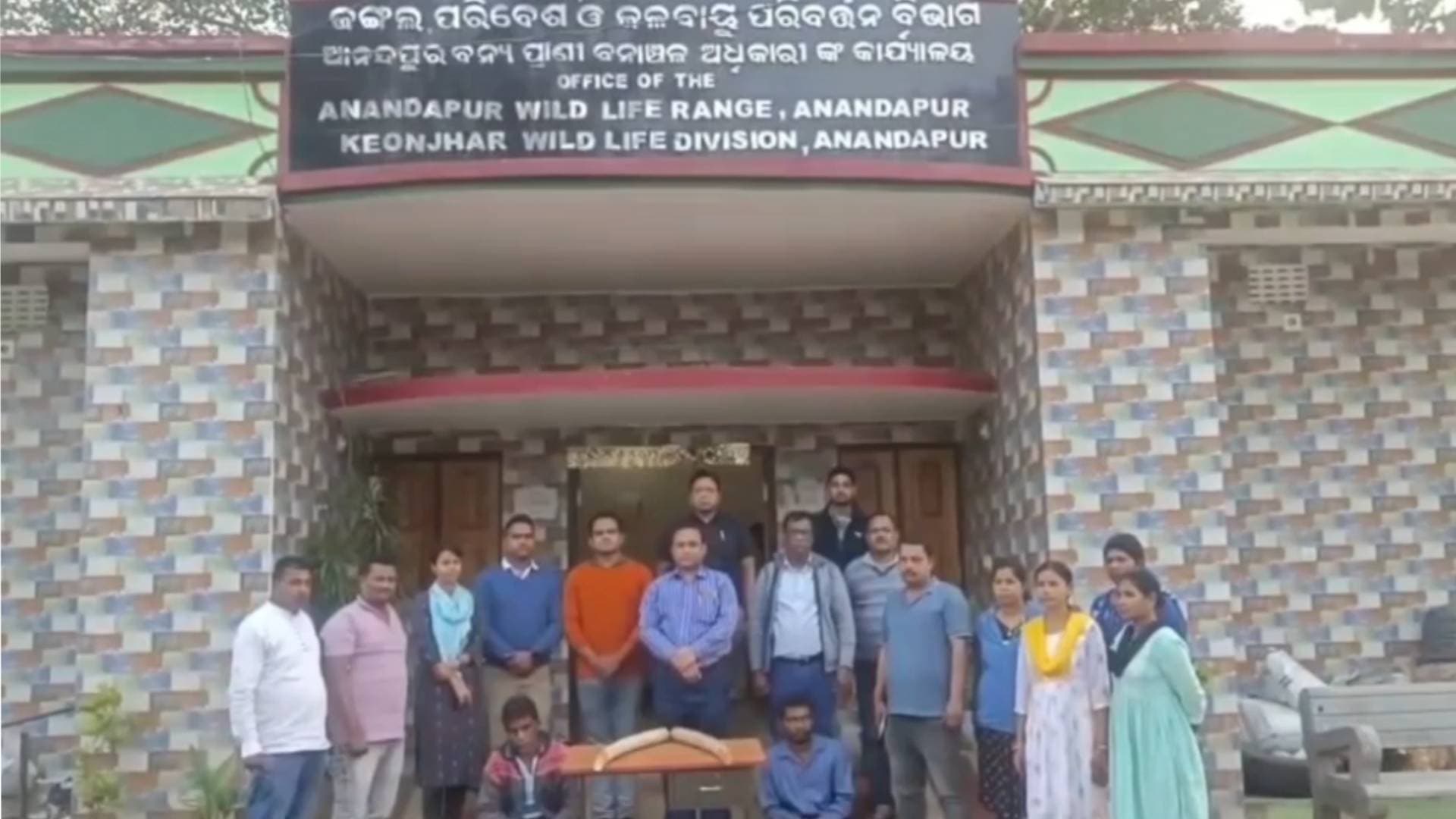 Keonjhar: Forest Officials Seize Elephant Tusks, Arrest 2 Wildlife Smugglers