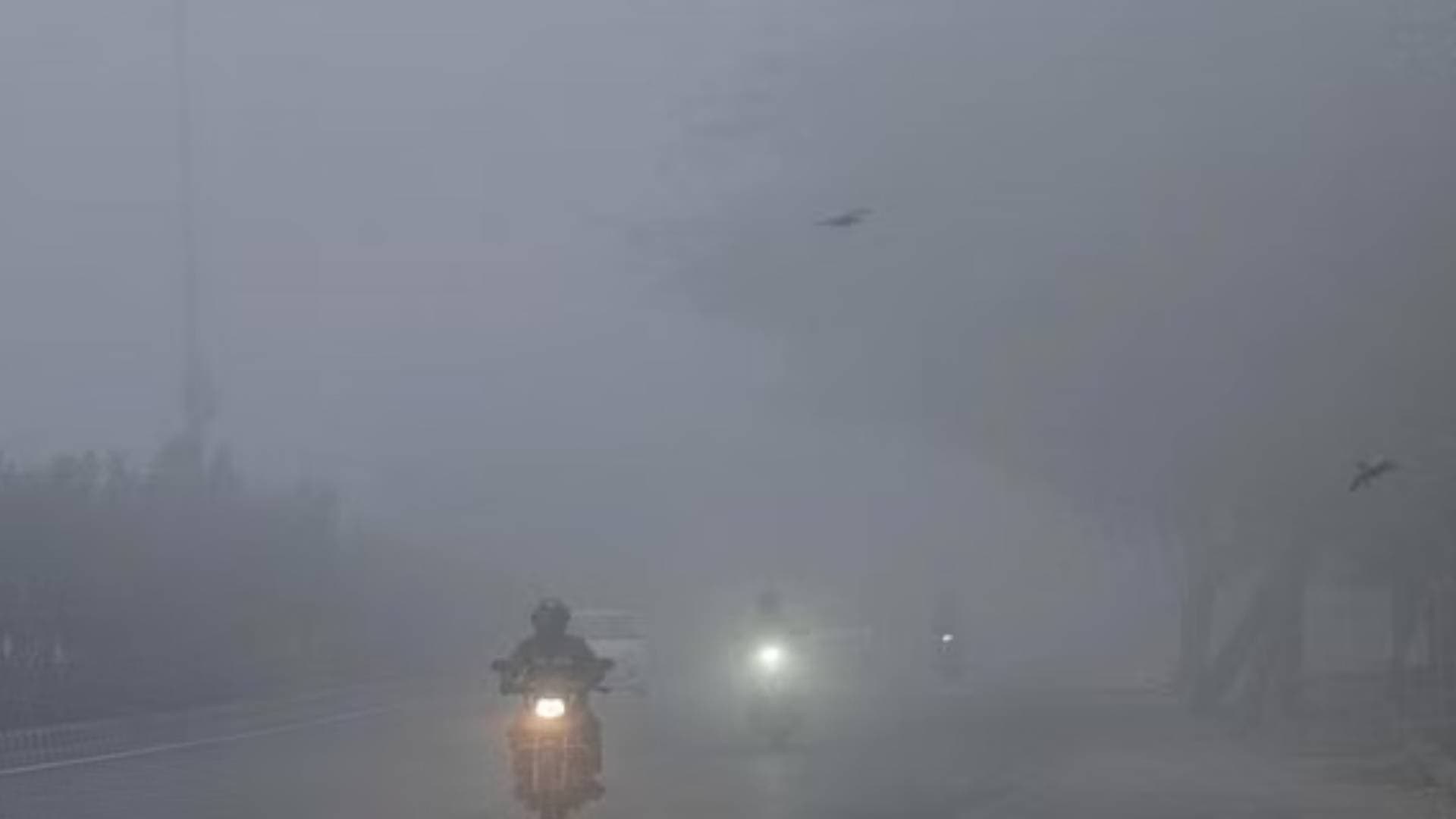 Dense Fog Likely To Engulf Several Parts Of Odisha; Yellow Alert Issued For Next 2 Days