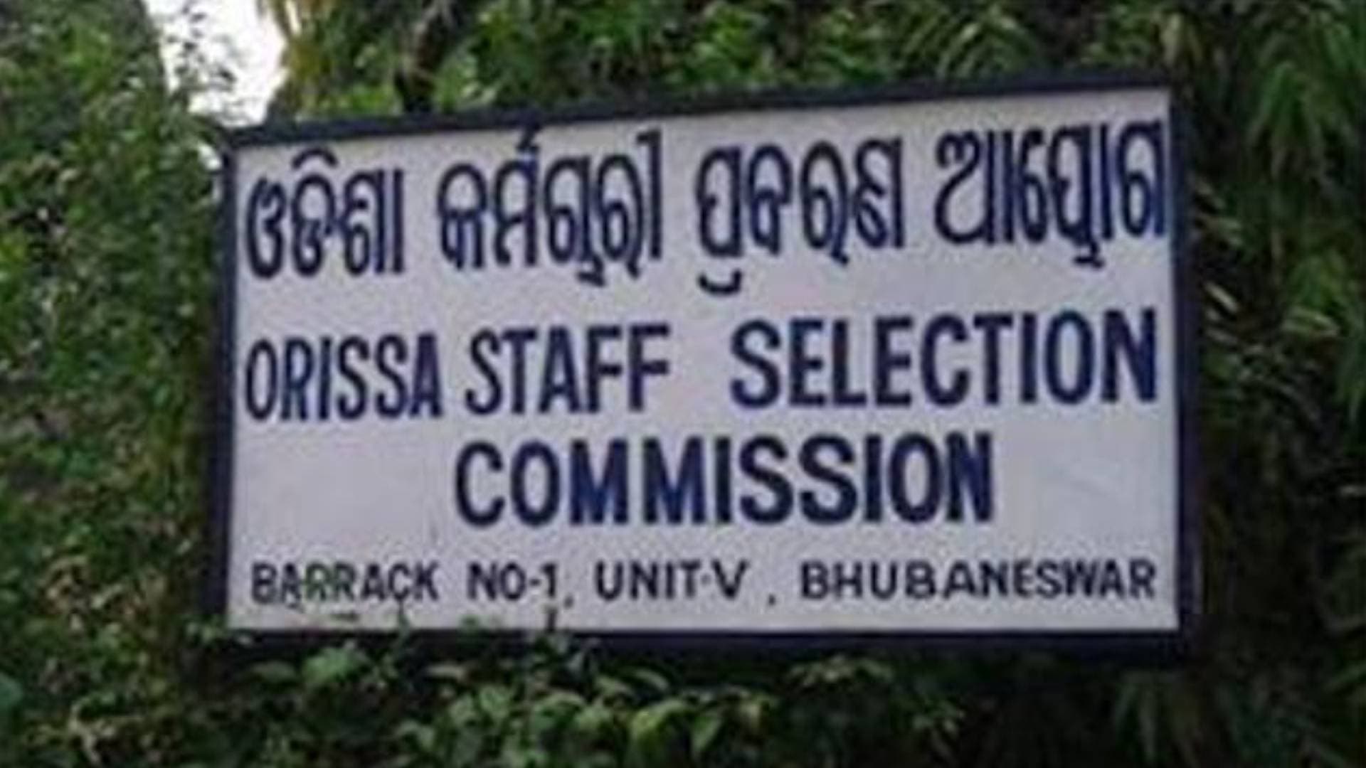 OSSC Recruitment 2024: Apply For Junior Enforcement Officer, Junior Accountant Posts