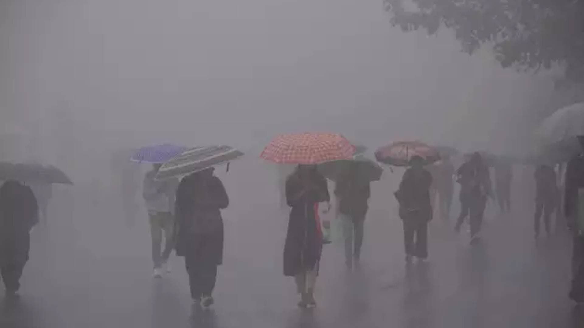Wet Spell Over Northwest India To Continue For Next 24 Hours: IMD