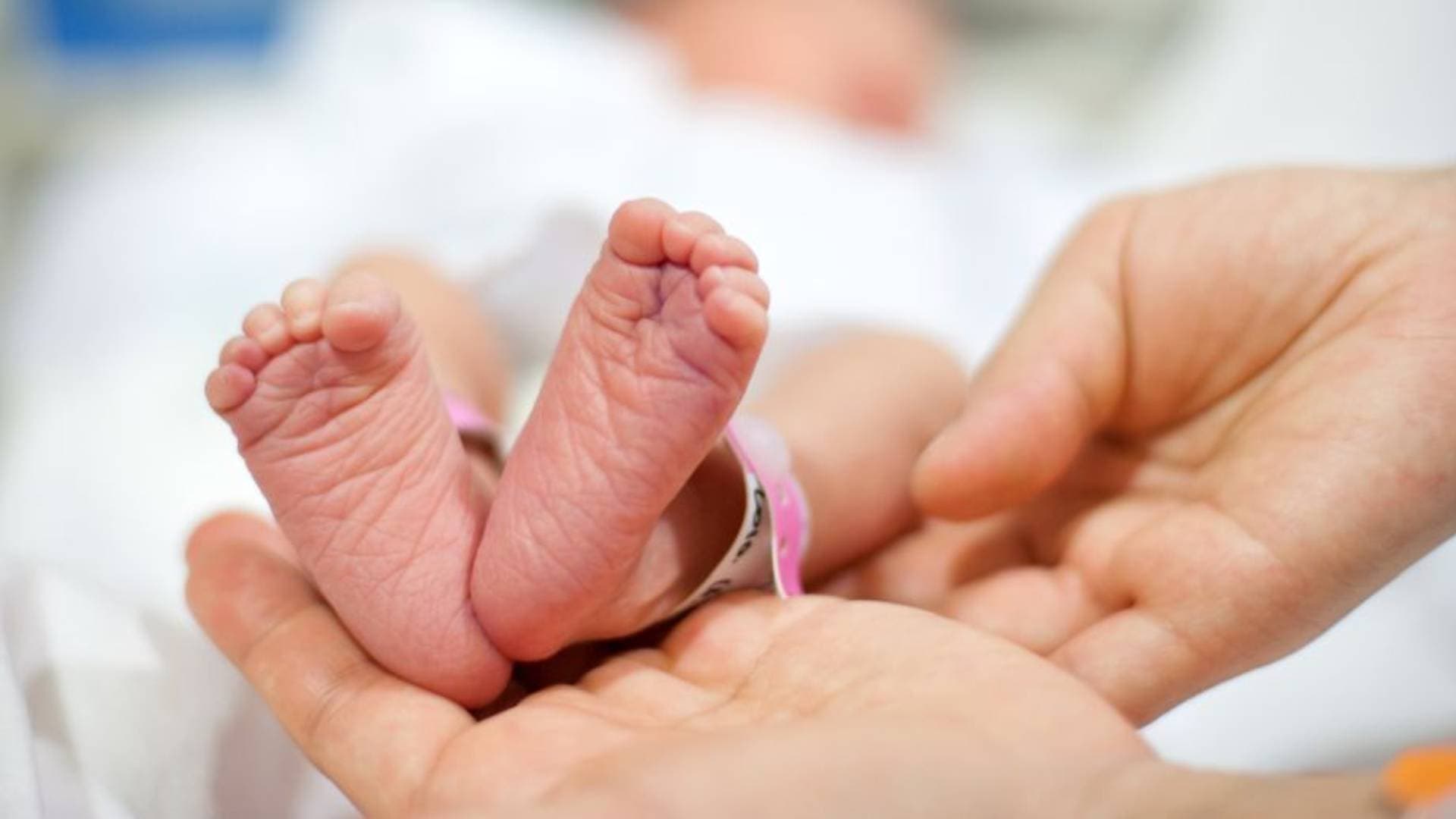 Abandoned Newborn Found Dead In Rayagada