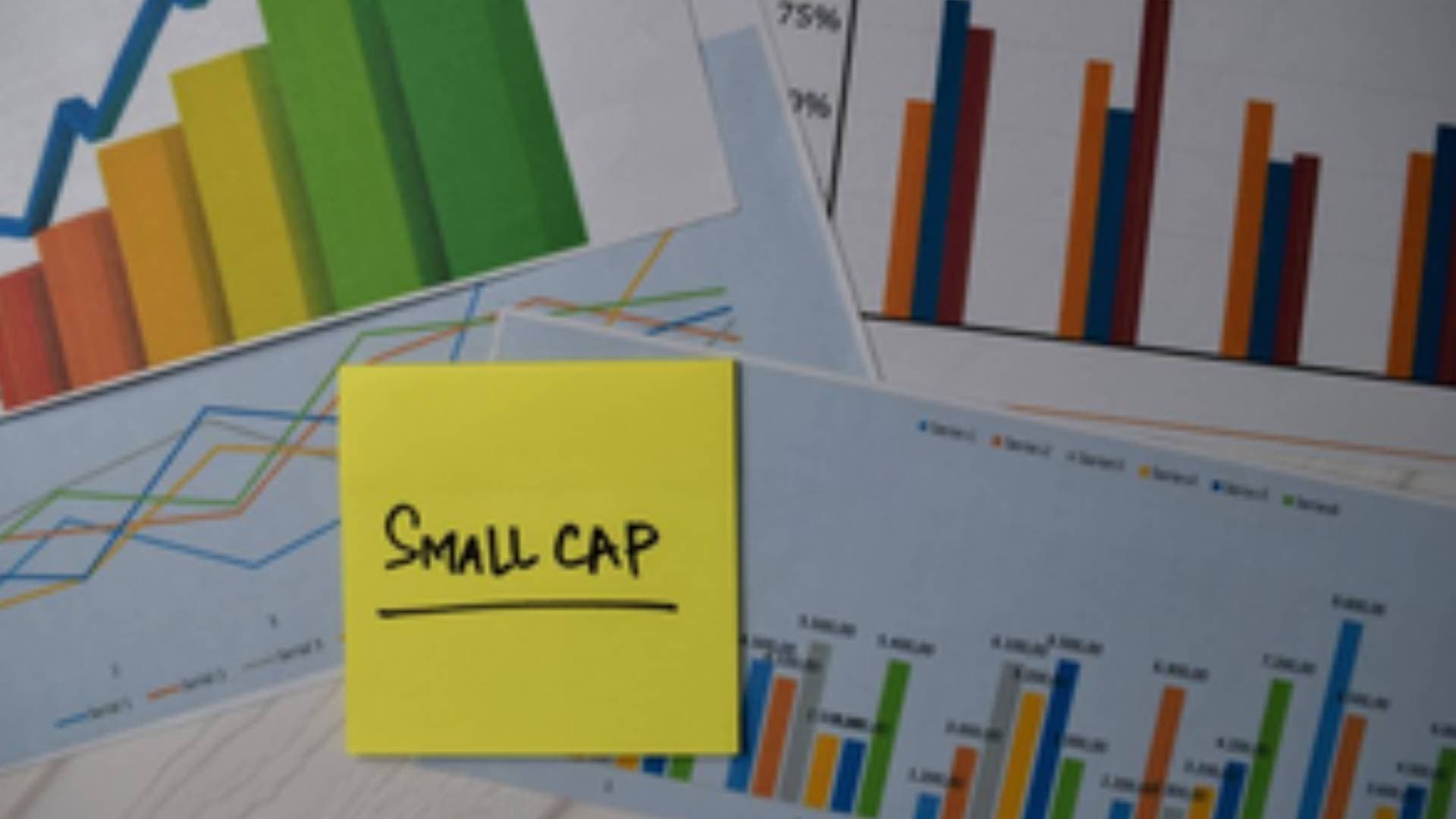 Midcap And Small Cap Funds Accounted For 87 Pc Of Flows In Fy24