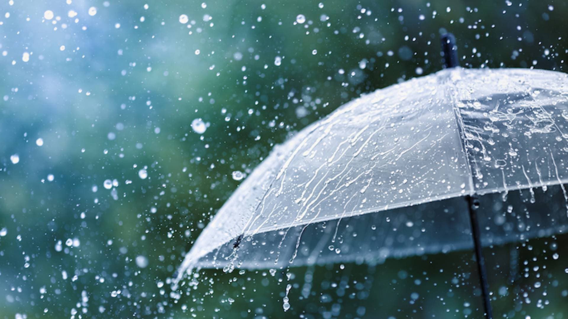 Light Rain Likely In Odisha During Next 24 Hours