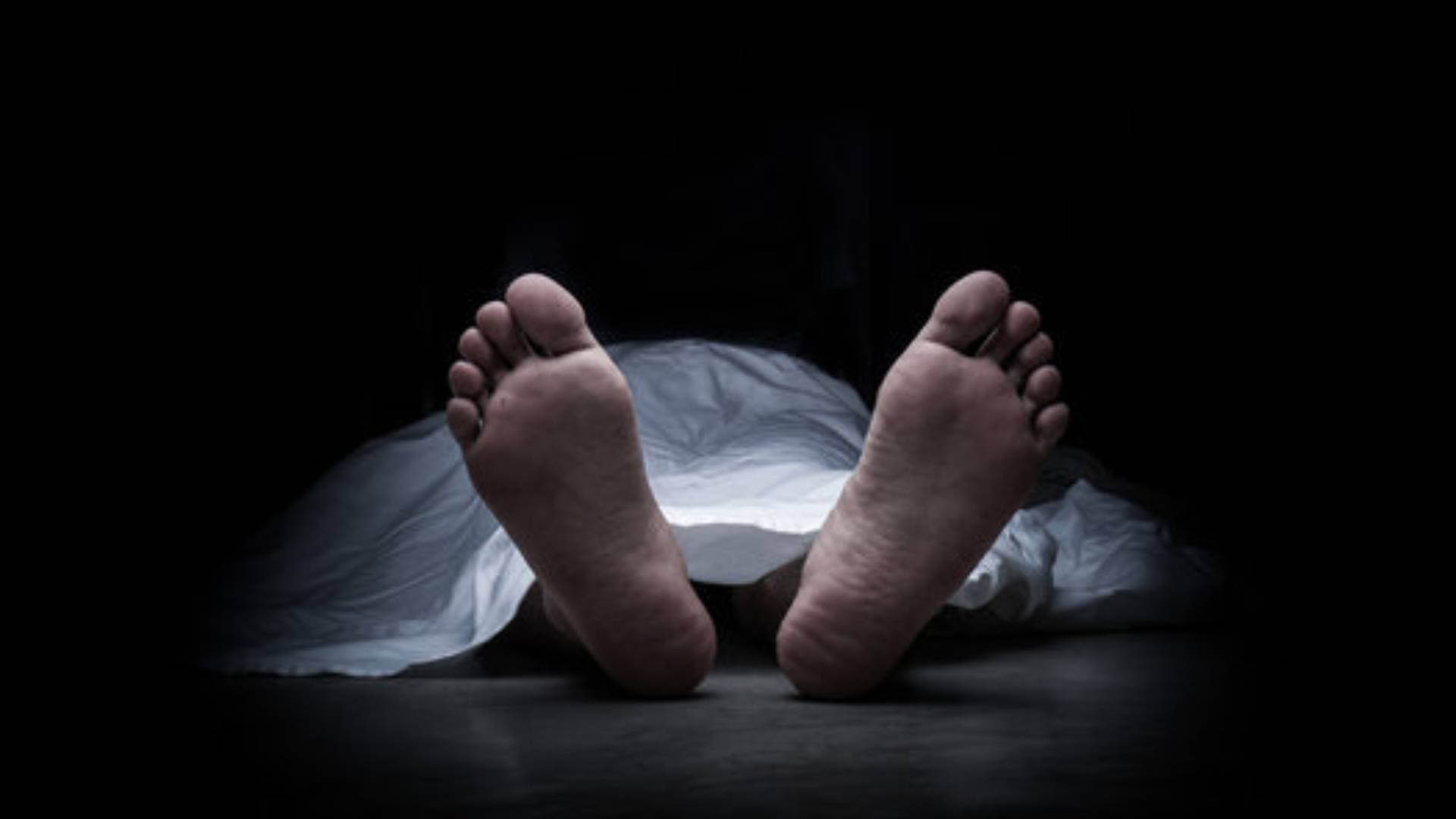 Elections 2024: On-Duty Polling Official Dies In Odisha's Jajpur