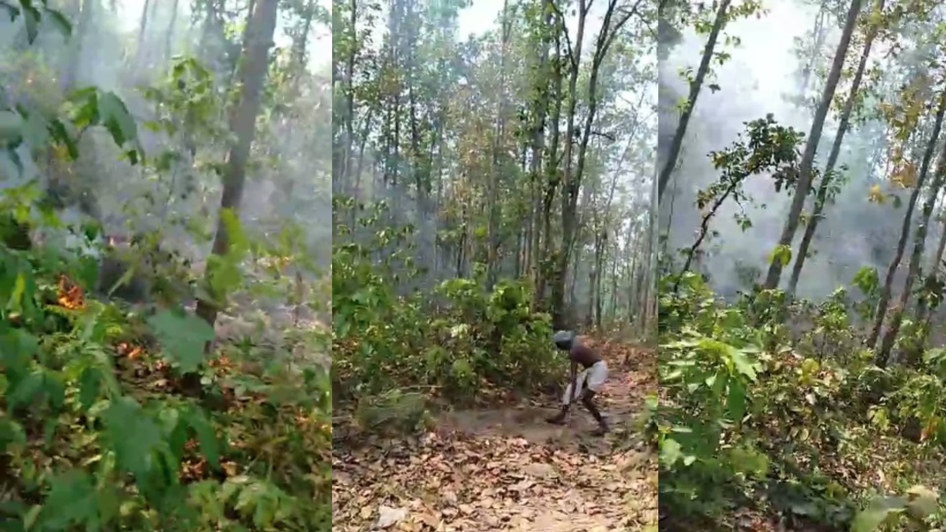 Odisha: Major Fire Breaks Out In Kuldiha Wildlife Sanctuary