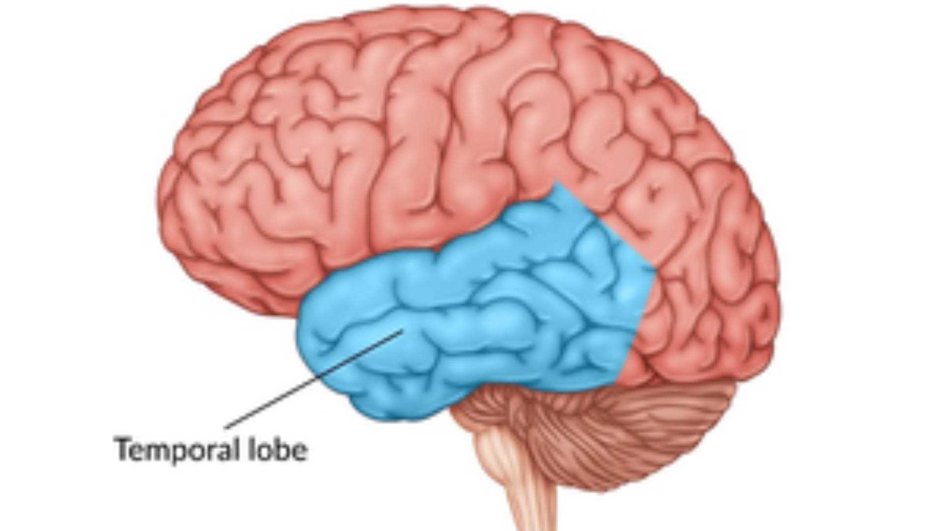 Mumbai Woman Cured Of Epilepsy After Part Of Her Brain Removed