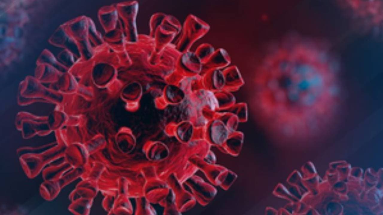 Long Covid Patients At Risk For Digestive Diseases Up To 1 Year: Study