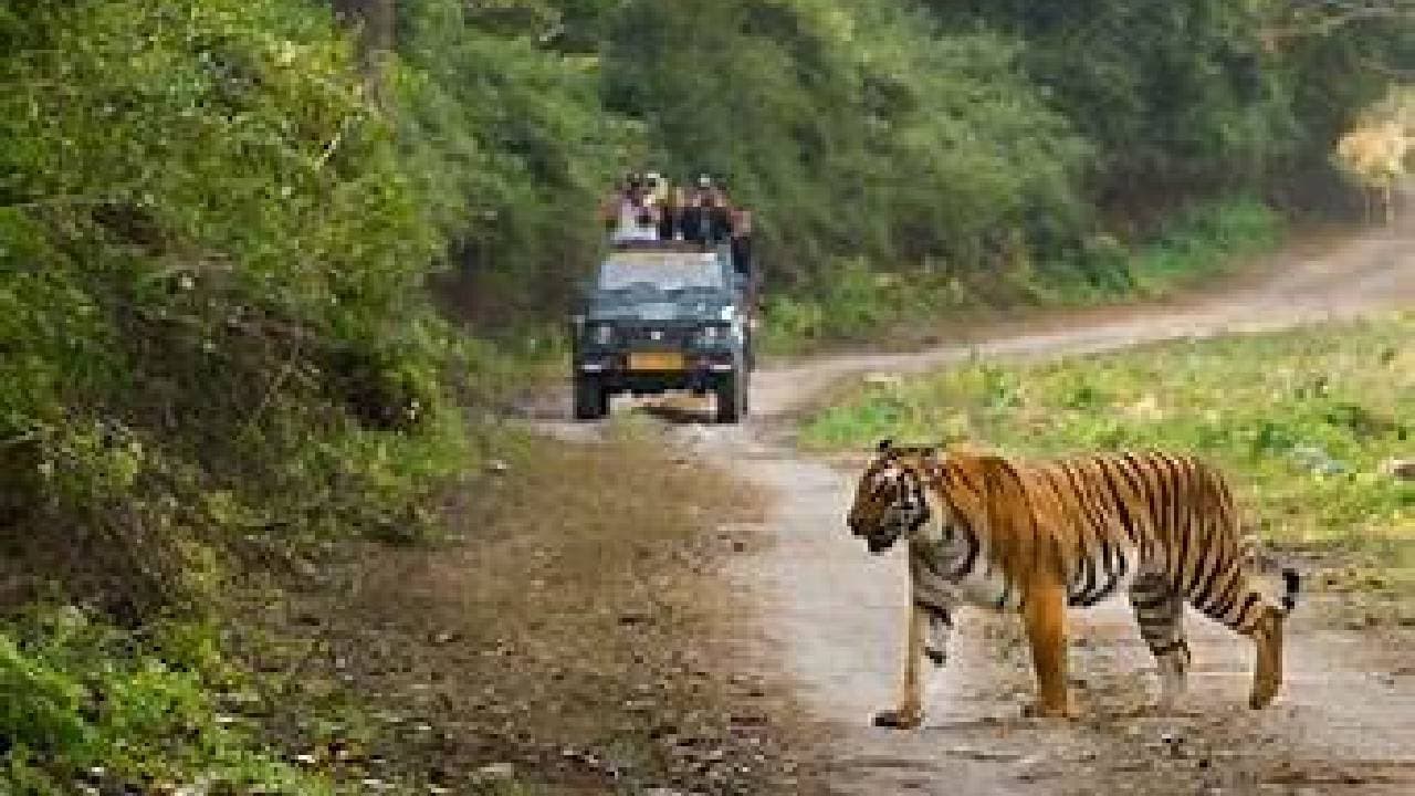 Odisha: Single-Use Plastic Banned In Sanctuaries, National Parks