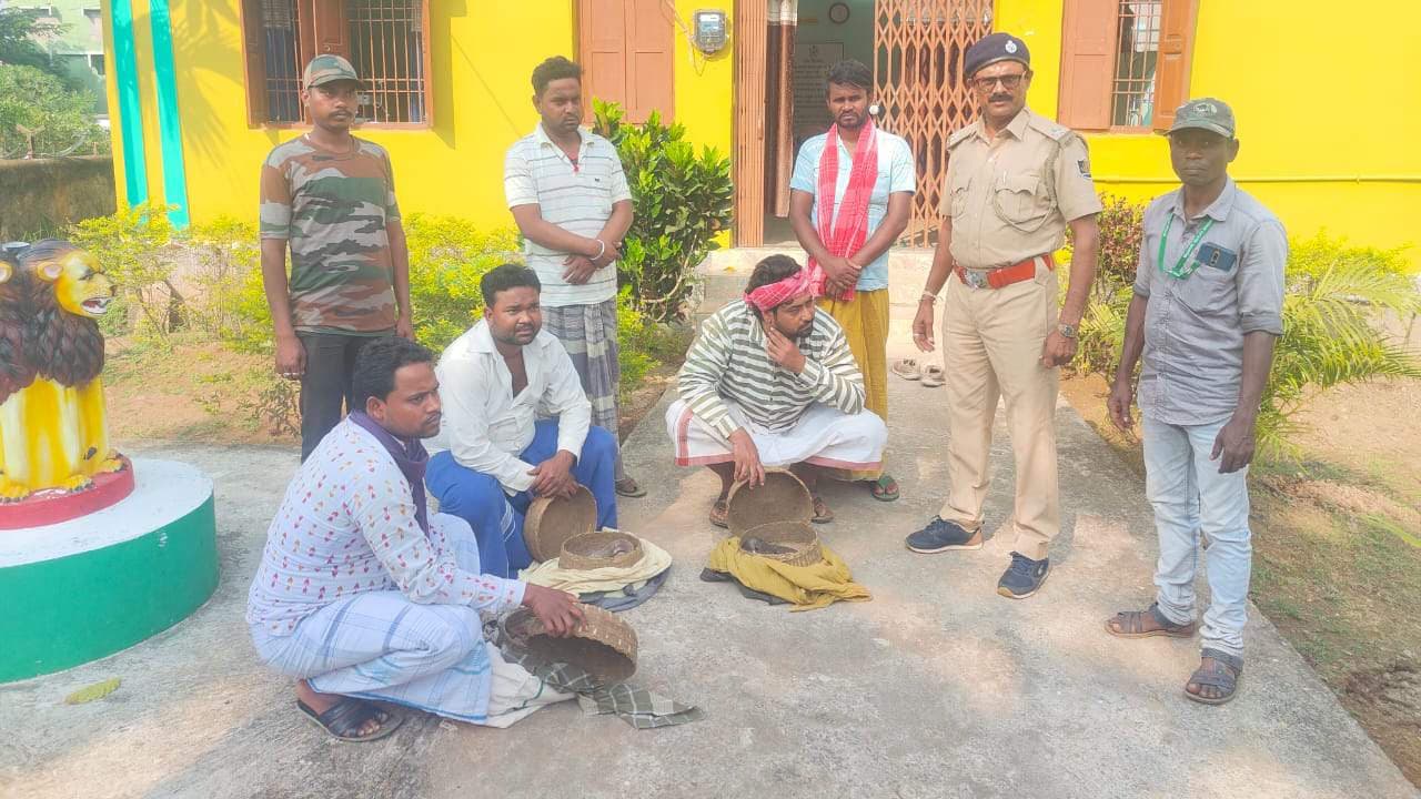 5 Snakes Including Cobras, Russell's Viper And Krait Rescued From Balasore