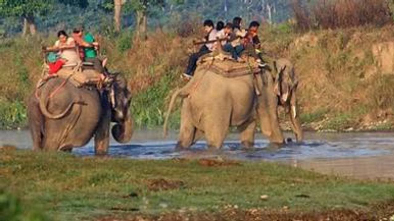 Bharatpur Safari To Remain Open Till 9 PM From January 29