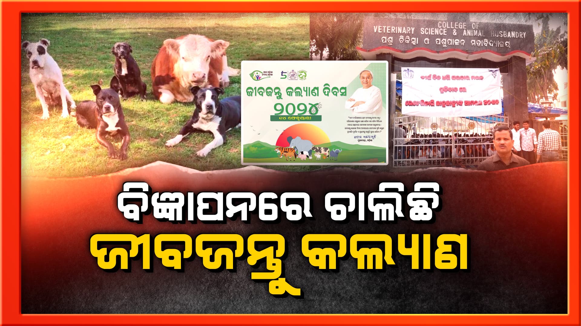 ପ୍ରାଣୀ ଚିକିତ୍ସକଙ୍କ ଦାବିକୁ ଅଣଦେଖା କରି ବିଜ୍ଞାପନରେ ଚାଲିଛି ଜୀବଜନ୍ତୁ କଲ୍ୟାଣ