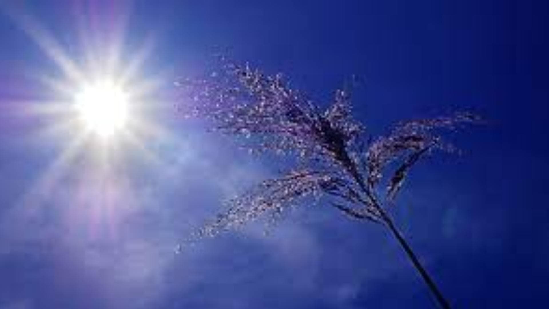 Heat To Intensify In Odisha, Temperature To Rise By 4 To 6 Degree Celsius