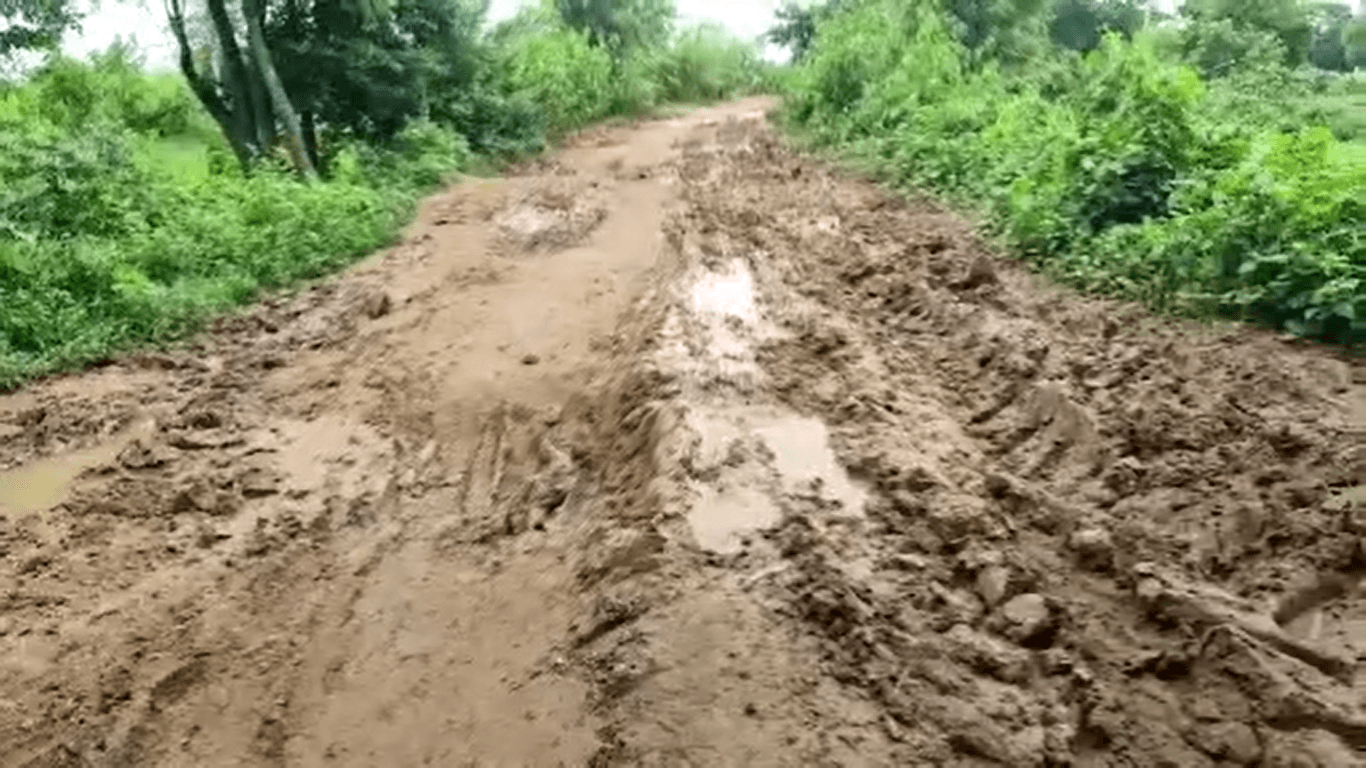 ନାହିଁ ପକ୍କା ରାସ୍ତା, କାଦୁଅ ପଚପଚ ରାସ୍ତା ପାଲଟିଛି ମୁଖ୍ୟ ସମସ୍ୟା