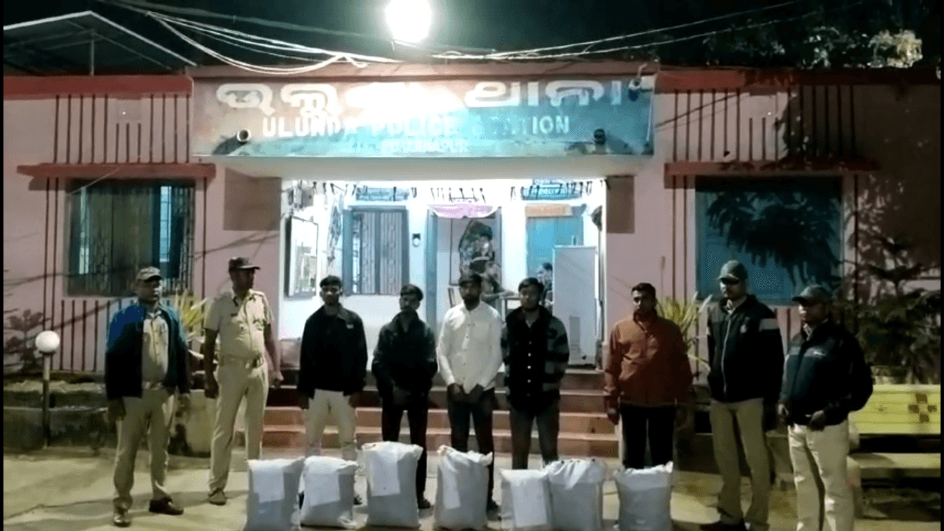 32 Kg Ganja Seized, 5 Arrested in Subarnapur