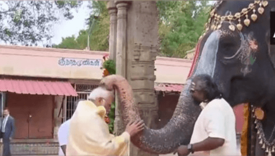 PM Modi Offers Prayers At Sri Arulmigu Ramanathaswamy Temple In Rameswaram