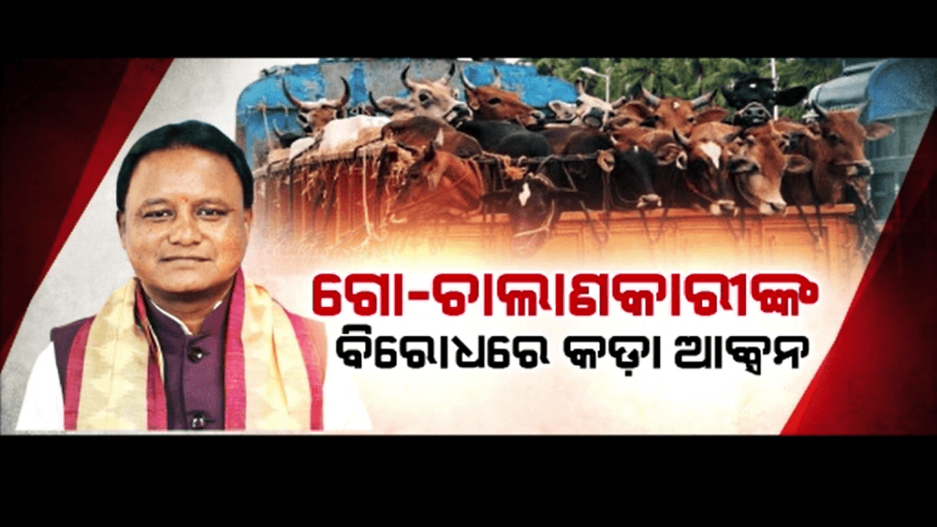 ବିଜେଡି ସରକାରରେ ଖୋଲାଖୋଲି ଚାଲିଥିଲା ଗୋ ଚାଲାଣ