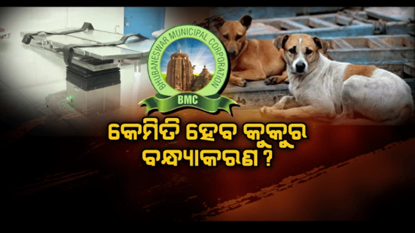 ରାଜଧାନୀରେ ପାଗଳା କୁକୁର ଆତଙ୍କ ଉପରେ ଲାଗିବ ରୋକ୍