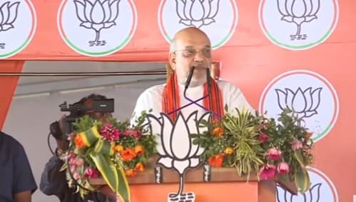 BJP to get 15 Lok Sabha, 75 Assembly Seats In Odisha: Amit Shah At Rourkela