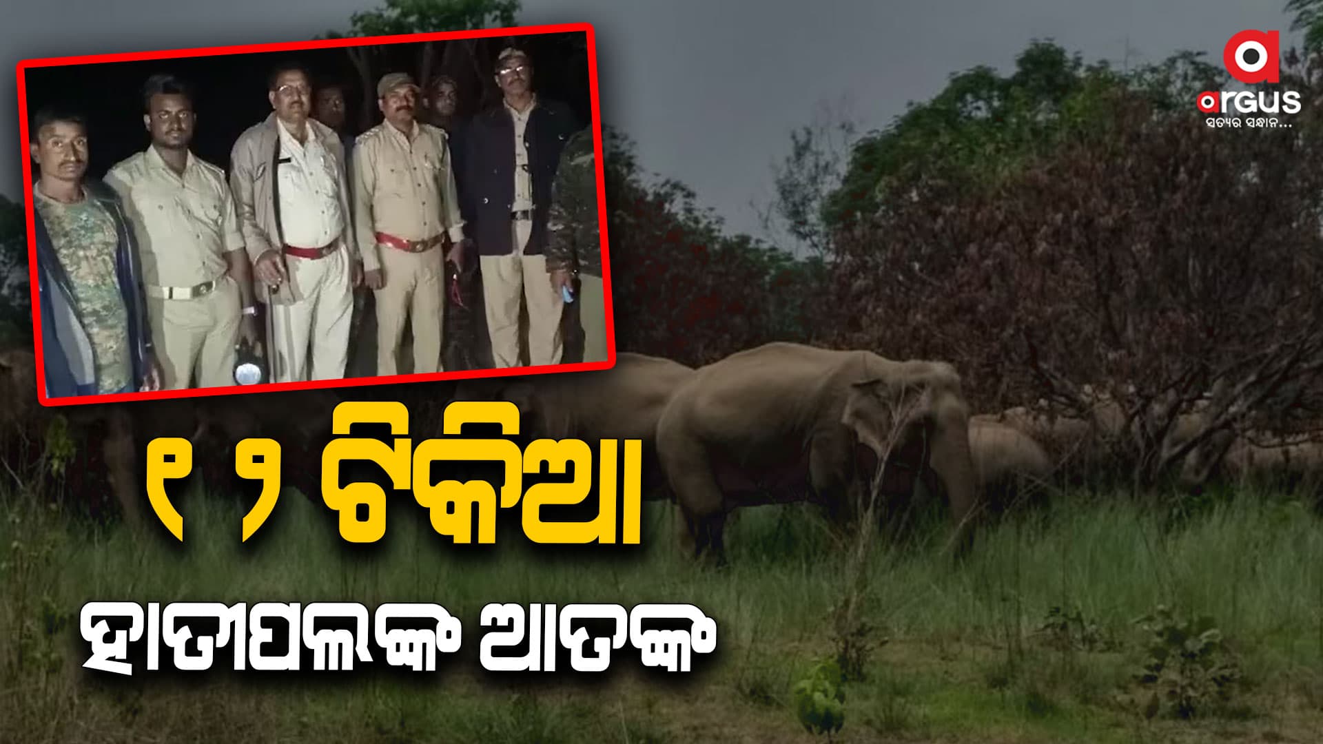 ହାତୀ ଆତଙ୍କ, ଲୋକେ ଭୟଭୀତ