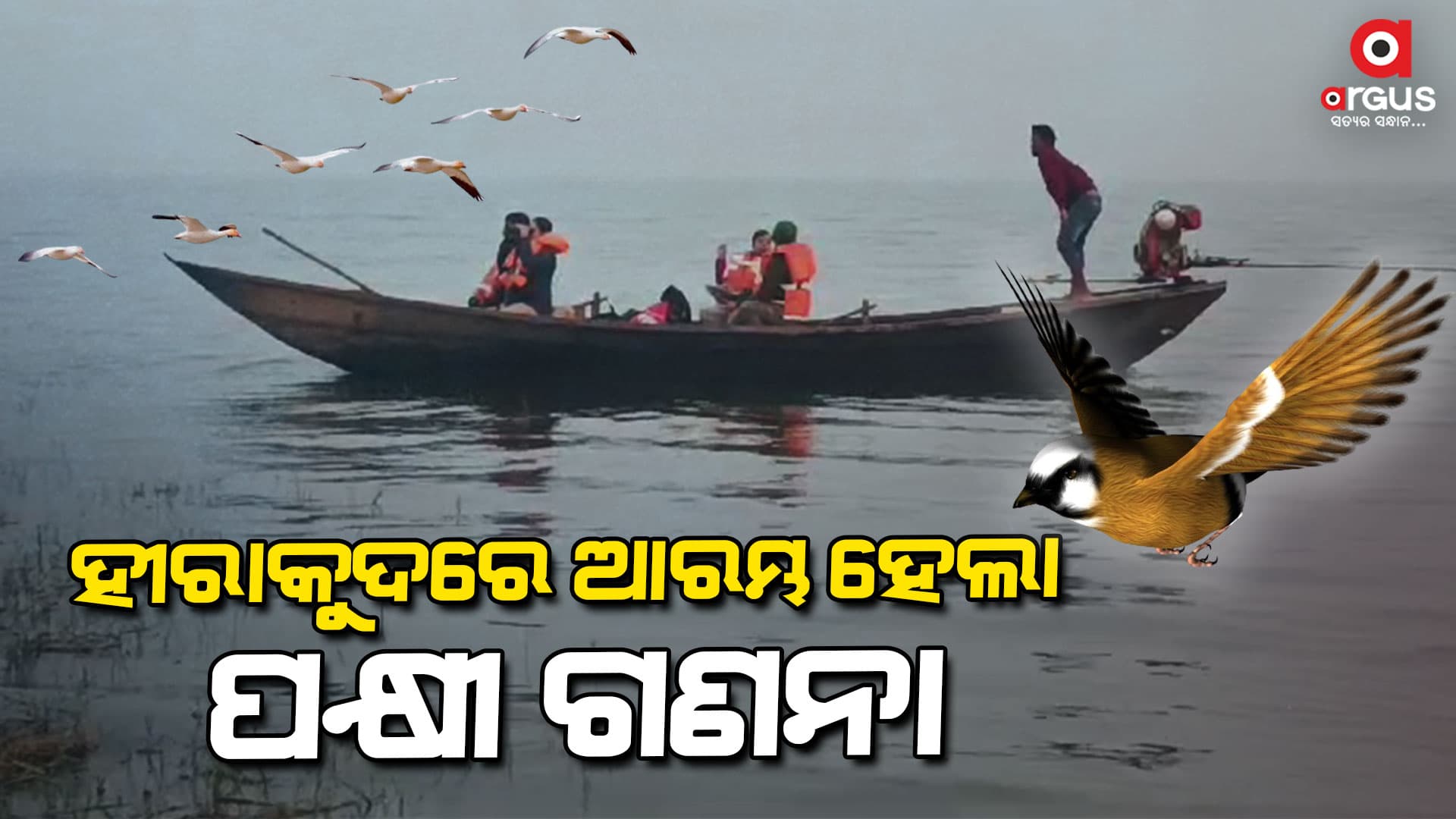 ହୀରାକୁଦ ଜଳଭଣ୍ତାରରେ ପକ୍ଷୀଗଣନା ଆରମ୍ଭ