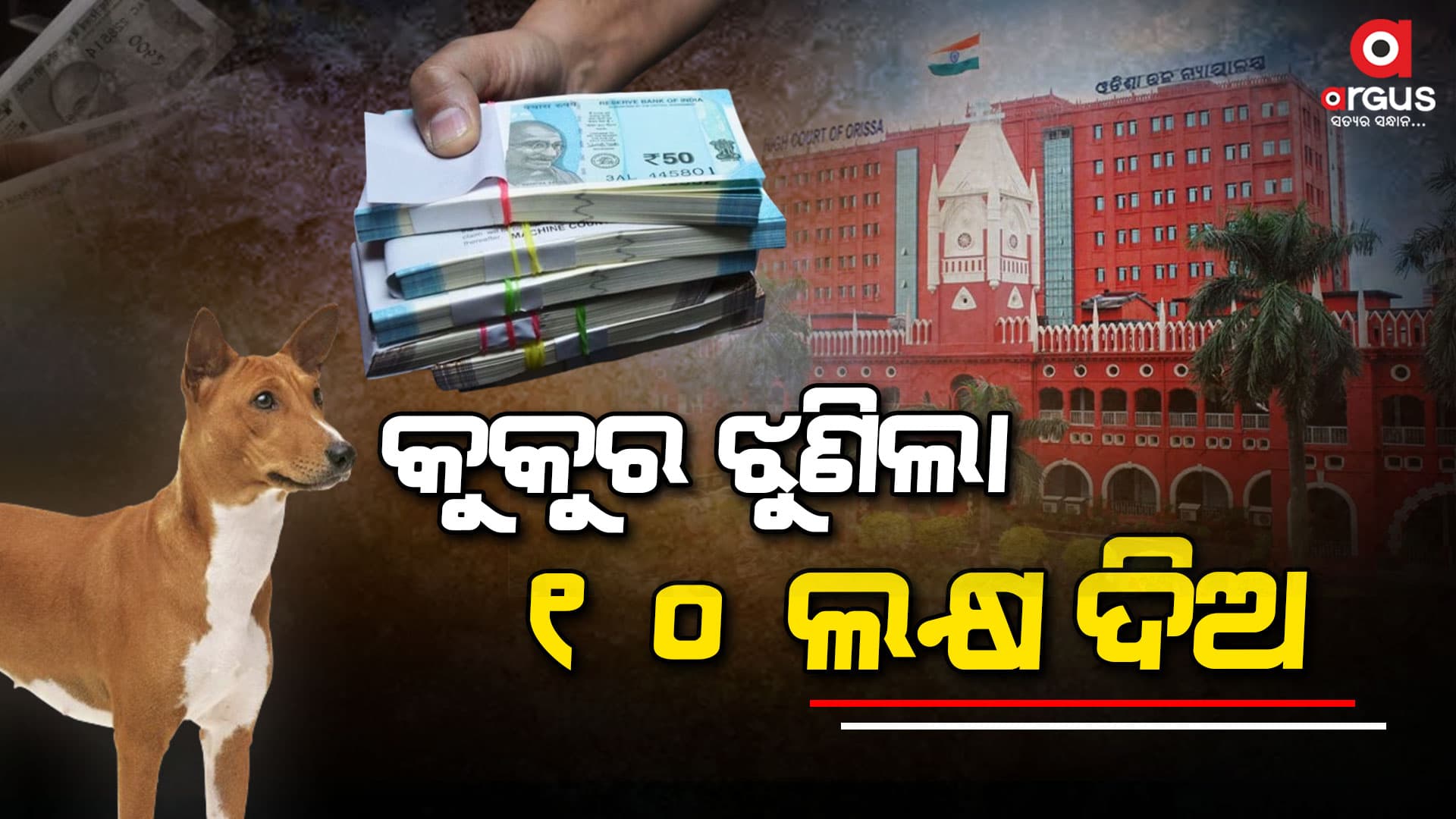 କୁକୁର ଝୁଣିବା ପାଇଁ 10 ଲକ୍ଷ ତଣ୍ଡ