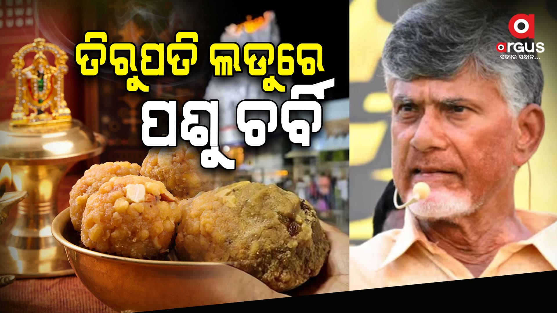 ଲଡୁରେ ପଶୁ ଚର୍ବି ବ୍ୟବହାର ହେଉଥିବା ଅଭିଯୋଗ ଆଣିଲେ ଚନ୍ଦ୍ରବାବୁ ନାଇଡୁ