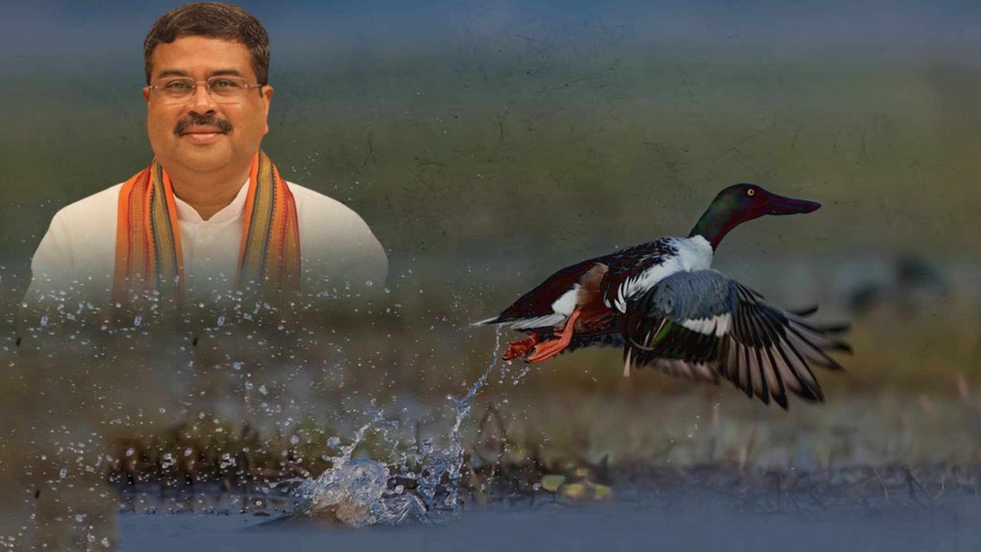 Pradhan Greets All Nature Enthusiasts, Birders And Conservationists On World Wetlands Day