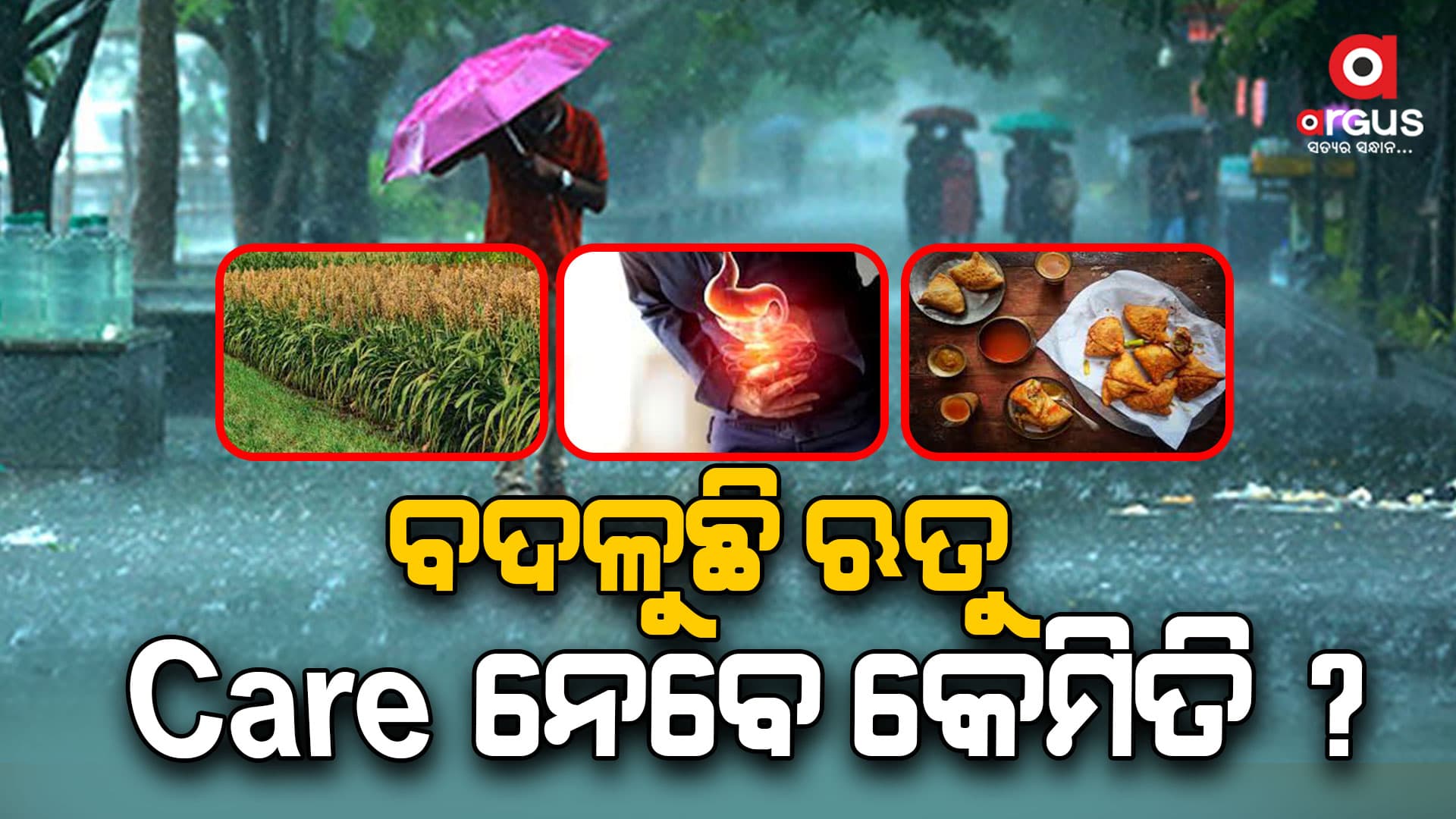 ବର୍ଷା ଋତୁରେ ଏହି 7 ଶସ୍ୟରୁ ଦୂରେଇ ରୁହନ୍ତୁ...
