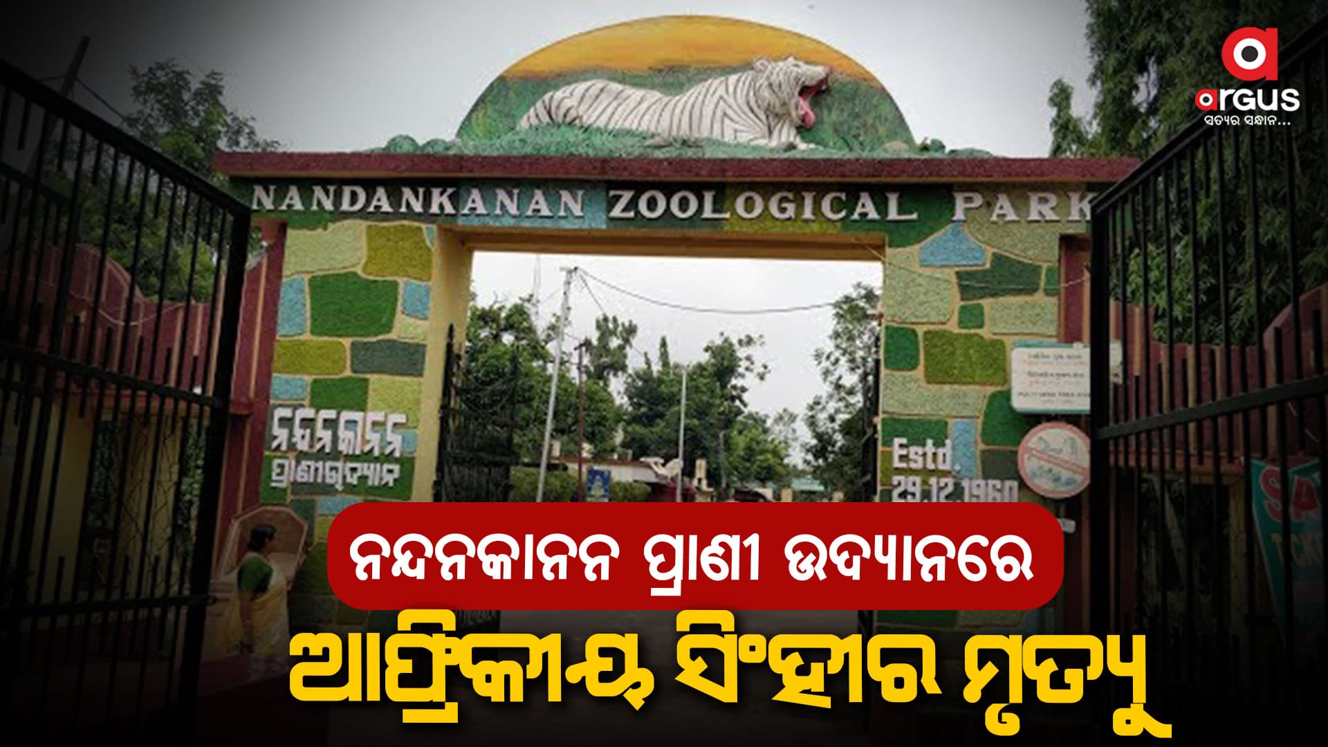 ଇସ୍ରାଏଲରୁ ଆସିଥିବା ସିଂହୀ ବିନିର ମୃତ୍ୟୁ ହୋଇଛି