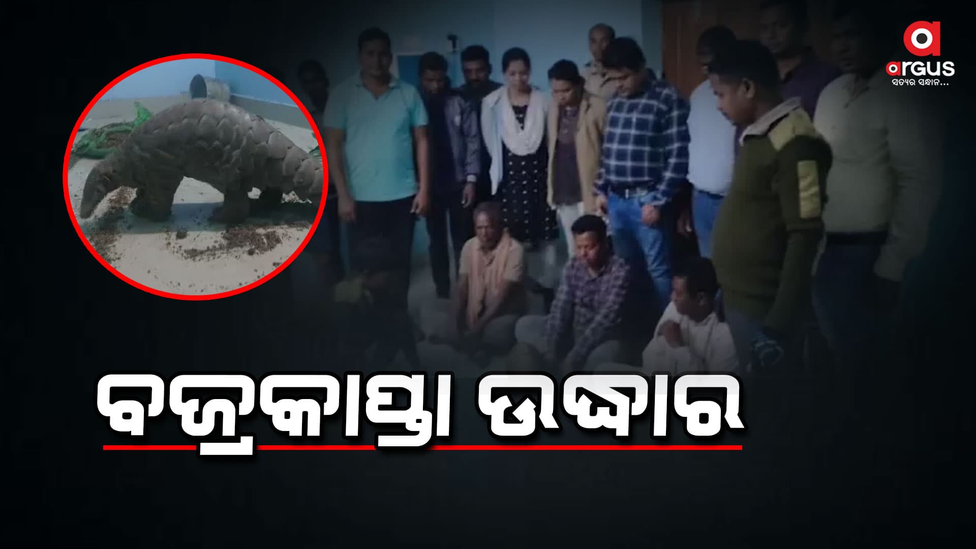 ୩ ଜଣଙ୍କୁ ବାନ୍ଧିଲା ବନ ବିଭାଗ