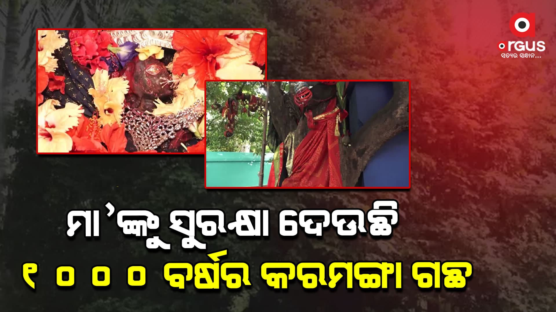 ୧୦୦୦ ବର୍ଷର କରମଙ୍ଗା ଗଛ ମା'କାମରୂପାକାଳୀଙ୍କୁ ଦେଉଛି ସୁରକ୍ଷା