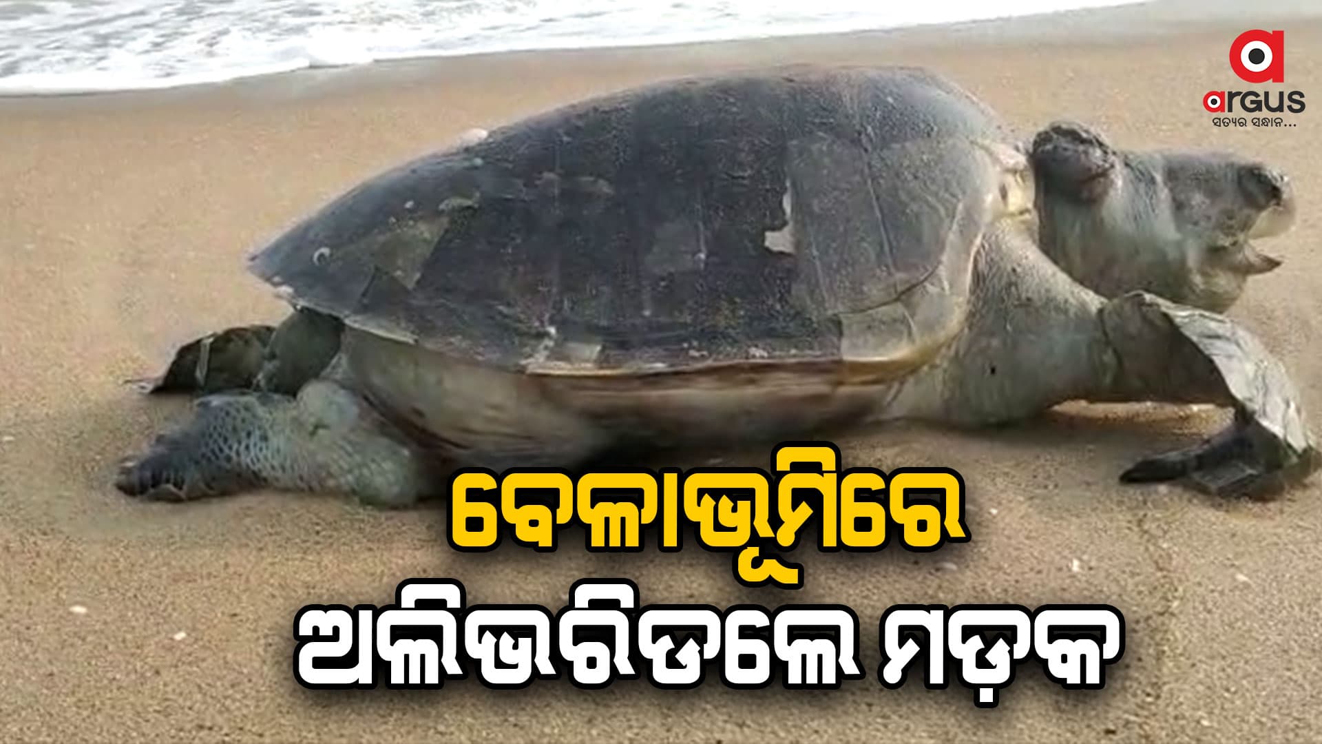 ନିୟମ ମାନୁନାହାନ୍ତି ମତ୍ସ୍ୟଜୀବୀ