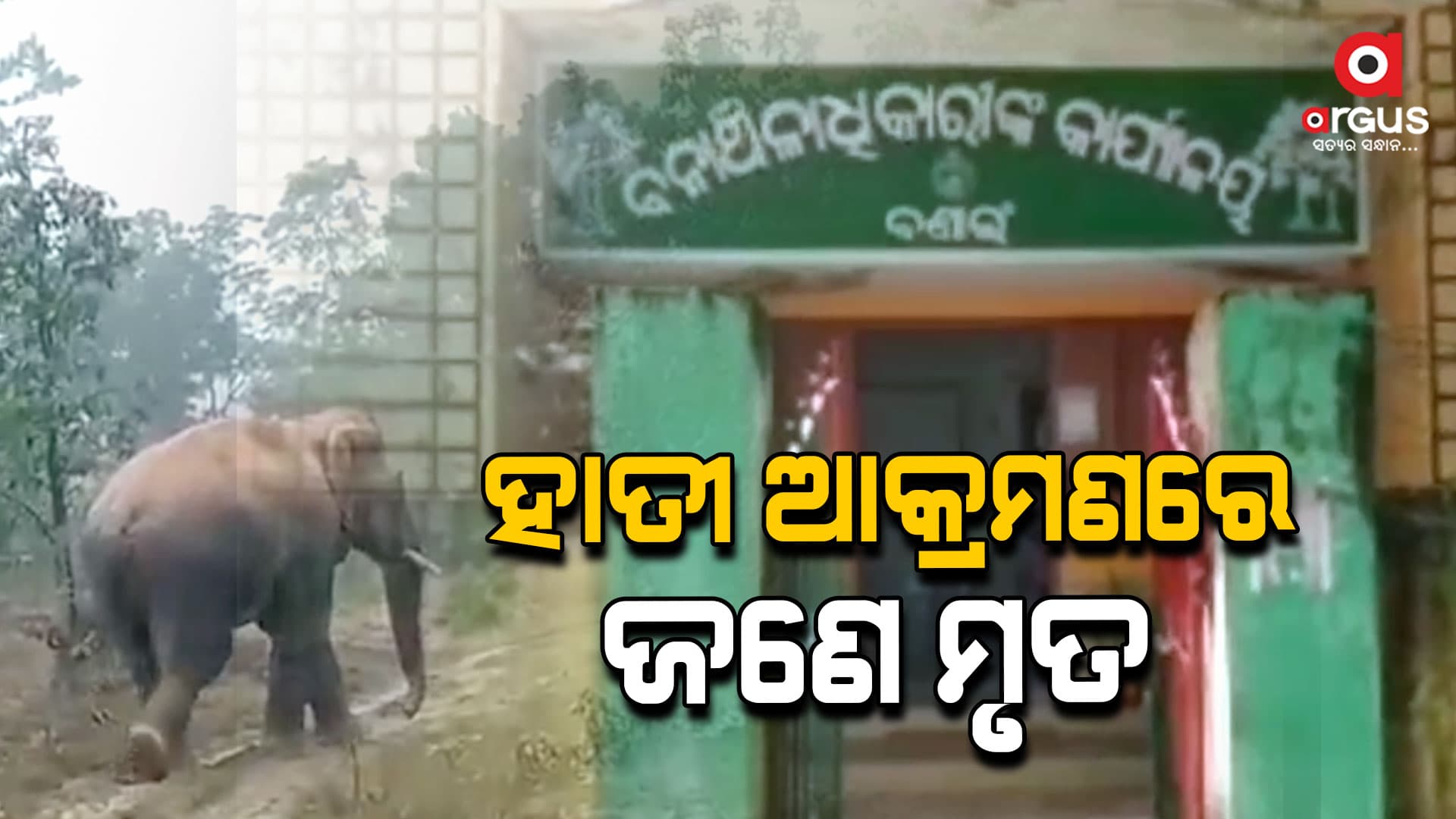 ହାତୀ ଆକ୍ରମଣରେ ଜଣେ ମୃତ