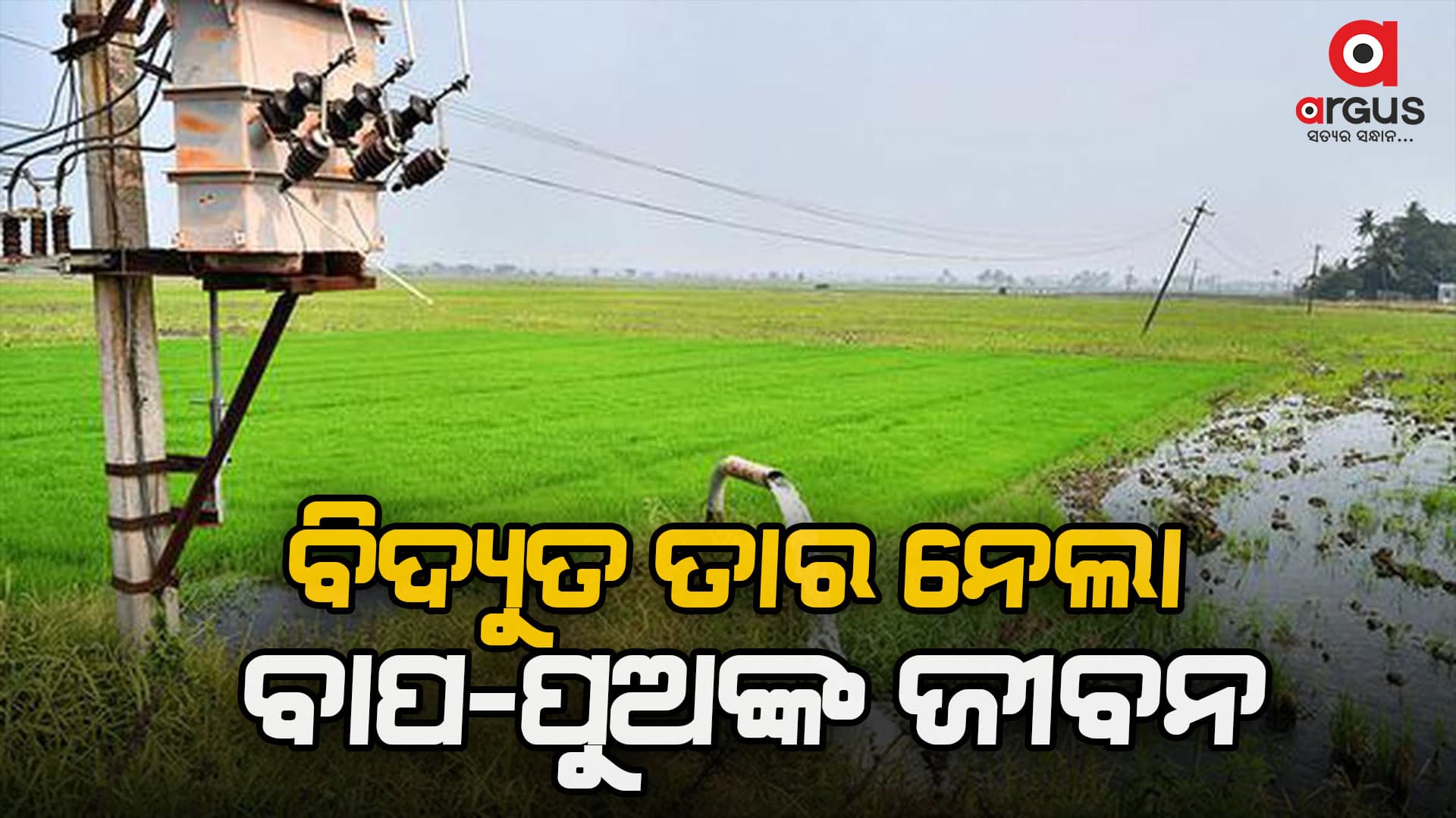 ବିଦ୍ୟୁତ ସଂସ୍ପର୍ଶରେ ଆସି ବାପ-ପୁଅ ମୃତ