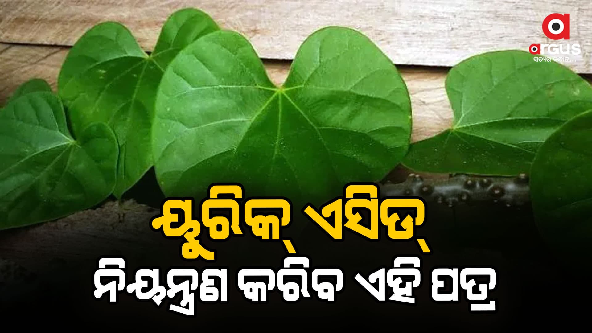 ୟୁରିକ୍ ଏସିଡ୍ ନିୟନ୍ତ୍ରଣ କରିବ ଗିଲୋଇ