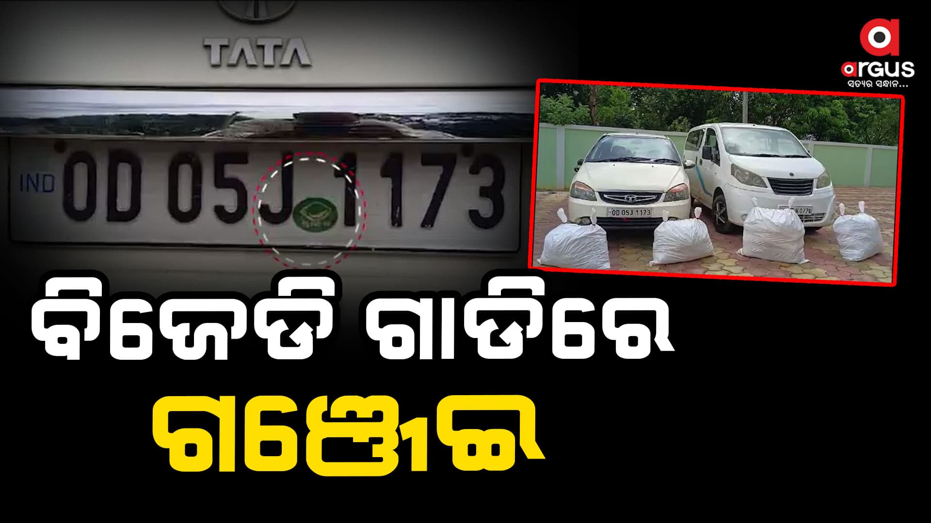କାର ଆଗ ଓ ପଛରେ ଲାଗିଛି ବିଜେଡି ଲୋଗୋ : ଚାଲାଣ ହେଉଛି ଗଞ୍ଜେଇ