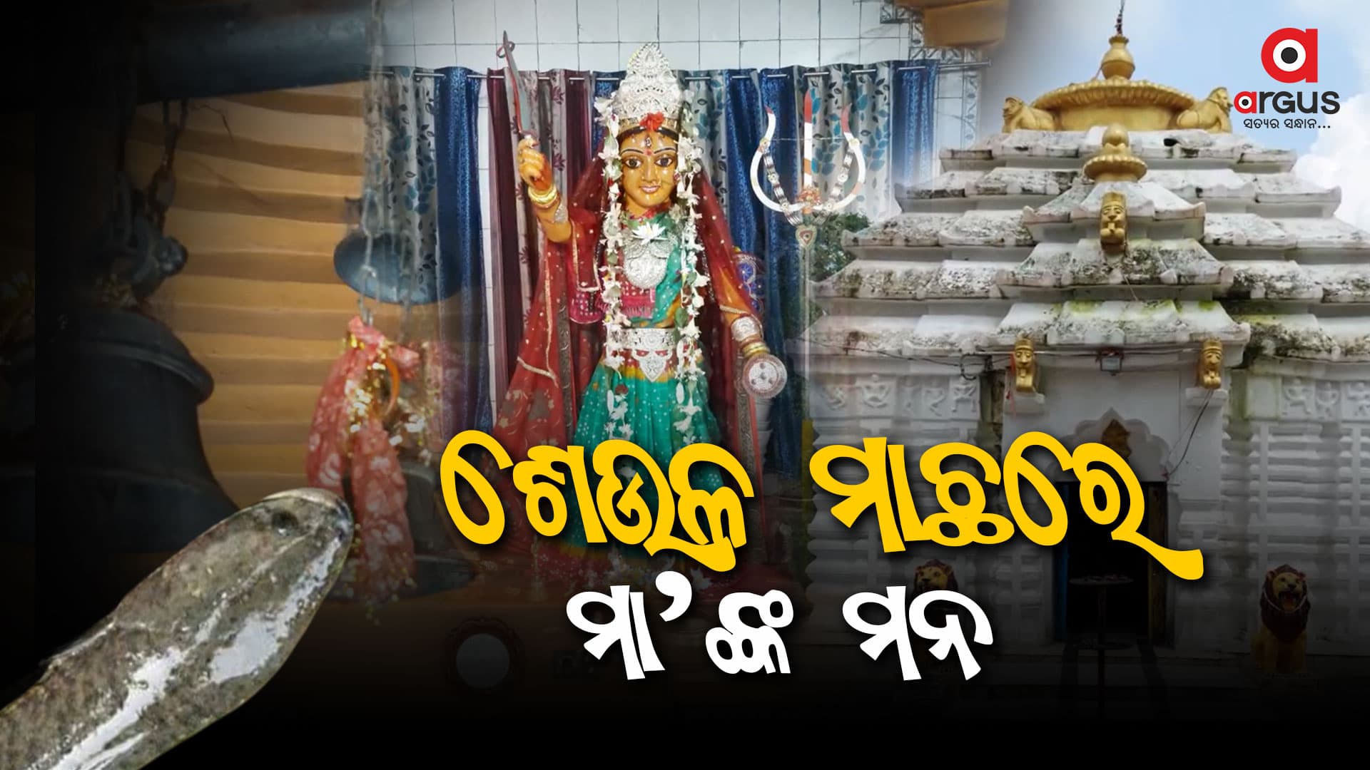ମା’ଙ୍କର ସବୁଠାରୁ ବଡ ଭୋଗ ଶେଉଳ ମାଛ ଓ ଖିରି