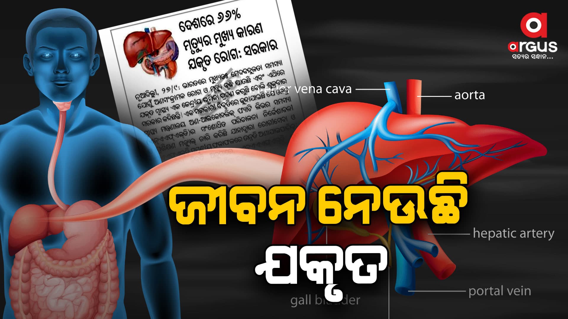 ଦେଶରେ ୬୬ ପ୍ରତିଶତ ମୃତ୍ୟୁର କାରଣ ଯକୃତ